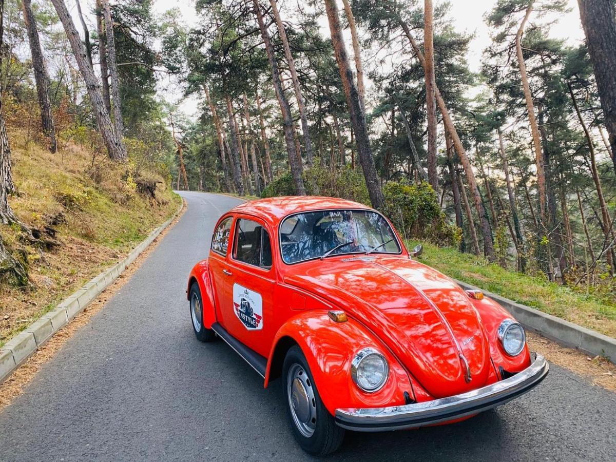 Vila Old Cars Cristian  Luaran gambar